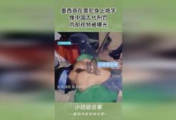 惩罚视频,揭秘惩罚视频背后的真相与警示