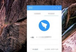 钉钉视频,揭秘高效办公新体验