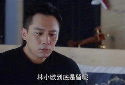 老男人视频,岁月沉淀下的智慧与魅力