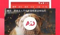 西瓜视频电脑版下载,轻松获取海量视频资源
