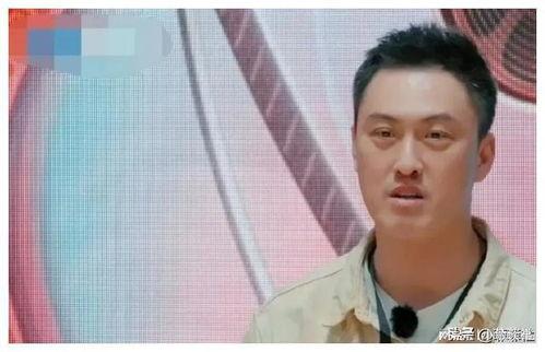 吃瓜娱乐圈新瓜,明星恋情曝光，幕后真相令人震惊